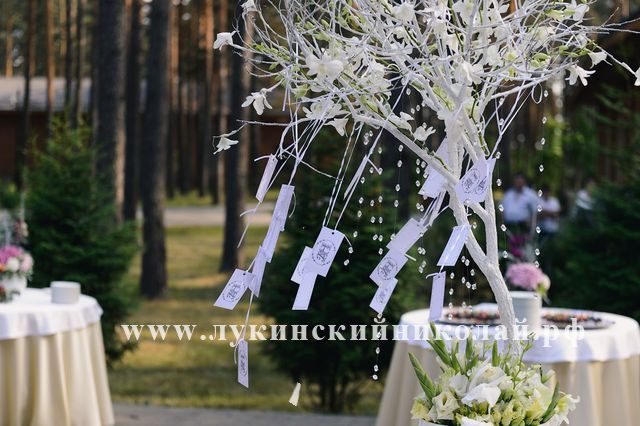 Лукинский Николай ведущий на свадьбу Лукинский Николай ведущий на свадьбу