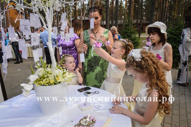 Лукинский Николай ведущий на свадьбу
